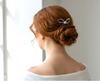 BIJOU BOW HAIR PIN SET
